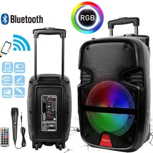 Portable Party Bluetooth Speaker With Microphone